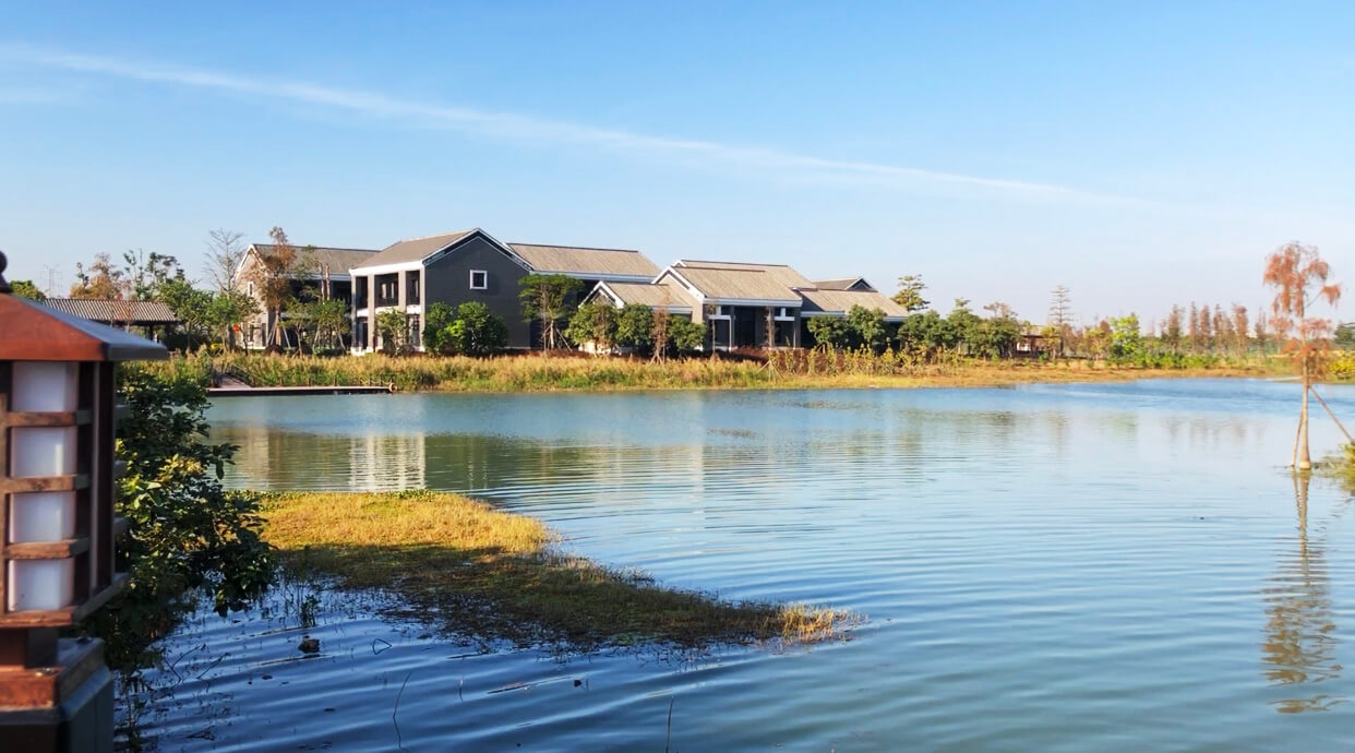 广东中山翠亨国家湿地公园